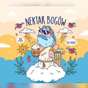 Piwo Moczybroda Nektar Bogów Nectarine Sour Ale 3,5%  0,5L but.bzw